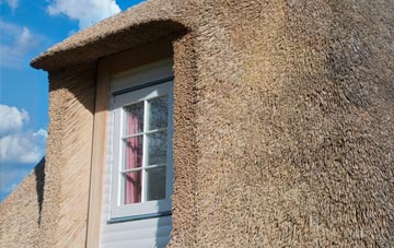 Waterslack thatch roof disadvantages